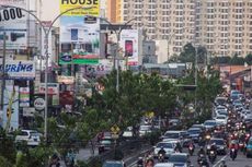 Sudah Lupa, Tanaman Mengurangi Polusi di Jalan Raya?