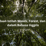 Perbedaan Istilah Woods, Forest, dan Jungle dalam Bahasa Inggris