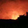 Karhutla dan Abu Vulkanik Berisiko Ganggu Perdagangan Indonesia