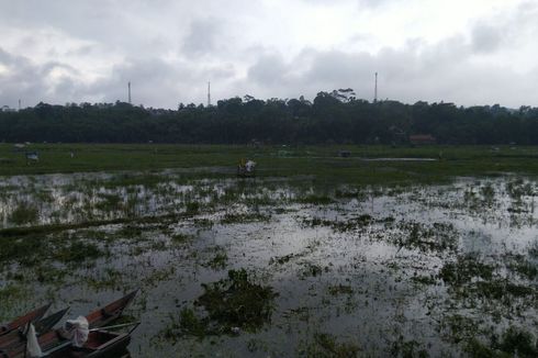 Sisa Pangan Ikan Sebabkan Pencemaran di Danau Rawa Pening