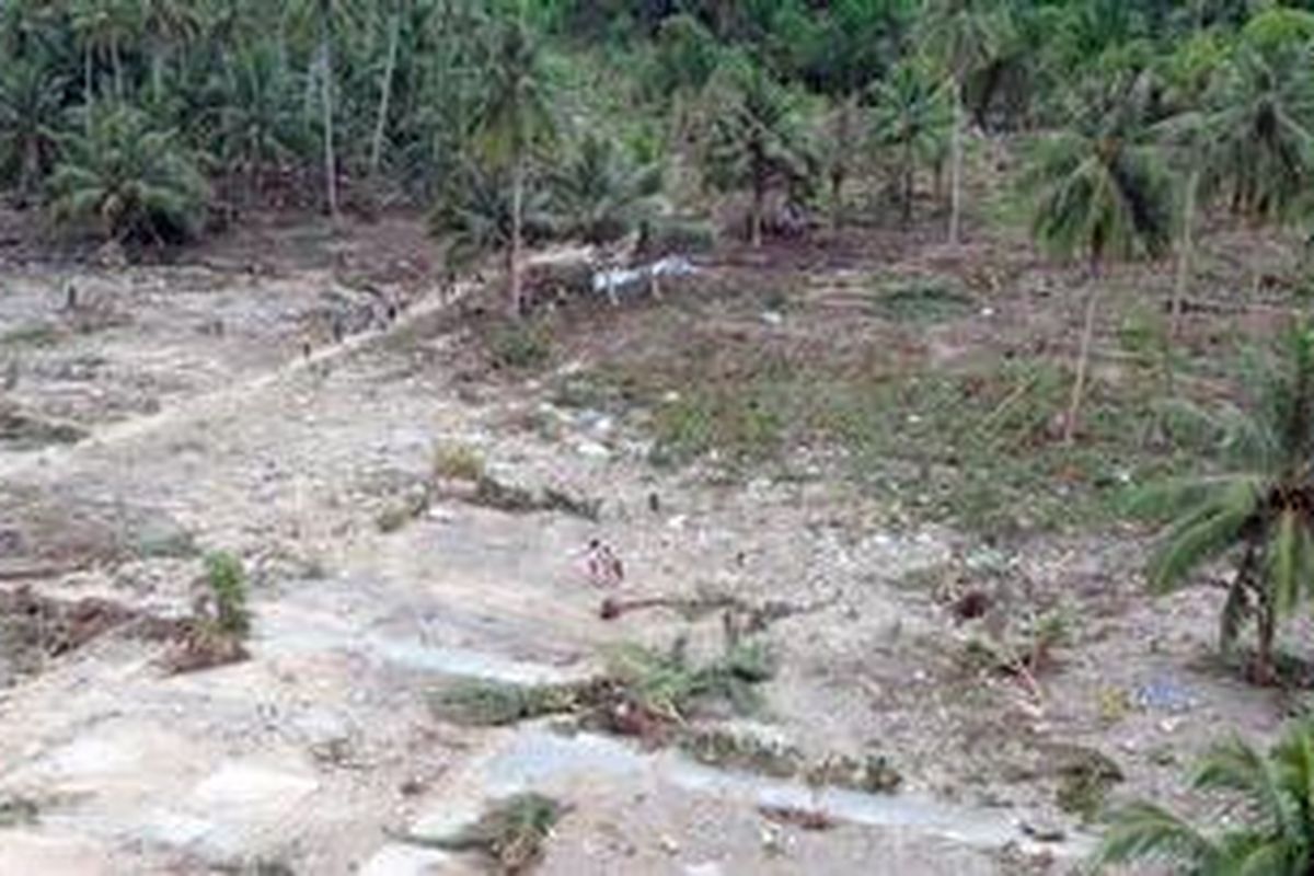 Kawasan perkampungan yang luluh lantak disapu tsunami pasca-gempa di Pulau Pagai, Kepulauan Mentawai, Rabu (27/10/2010).