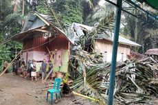 1 Orang Tewas Tertimpa Pohon Tumbang karena Angin Kencang di Luwu