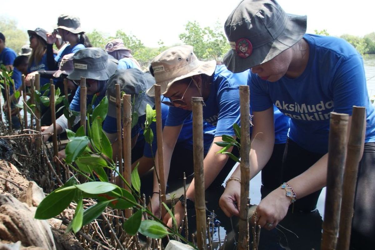 J Trust Bank Lawan Krisis Iklim dengan Tanam 3.000 Mangrove