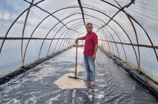 Takut Ditinggal, Ammar Zoni Minta Dokter Kamelia Tetap Setia Dampinginya di Masa Sulit