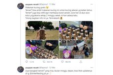 Twit Viral soal Bagi-bagi Makanan Kucing Gratis, Ini Info Lengkapnya