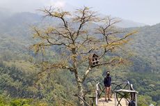 Aktivitas Seru di Sendi Adventure Park, Bisa Camping