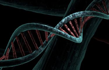 DNA adalah contoh senyawa biokimia
