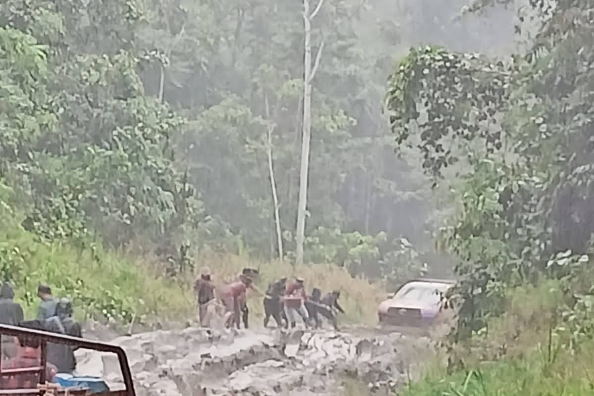 Cerita Warga Krayan Mudik Natal, Berebut Pesawat Sampai Bermalam di Hutan