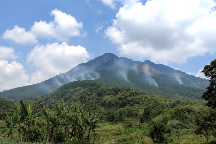 Gunung Andong Terbakar, 3,67 Hektare Hutan Hangus dalam 3 Jam