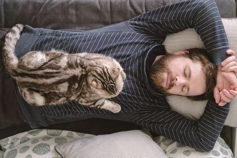 7 Alasan Kucing Duduk dan Berbaring di Pangkuan Pemiliknya