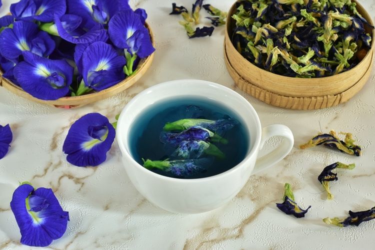 Ilustrasi teh bunga telang, apa manfaat minum teh bunga telang