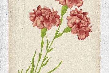 100 Soneta Cinta: Syair-Syair Cinta yang Utuh