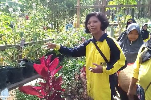 Bikin Kebun Obat Desa, Cara Warga Karya Mulya Prabumulih Hidup Sehat