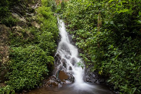 Perjalanan Menembus Hutan dan Semak Menuju Air Terjun Muncar Wonogiri