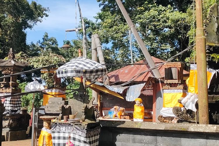 Pohon tumbang menimpa pura di Desa Wanagiri, Kecamatan Sukasada, Kabupaten Buleleng, Provinsi Bali, Minggu (7/12/2025).