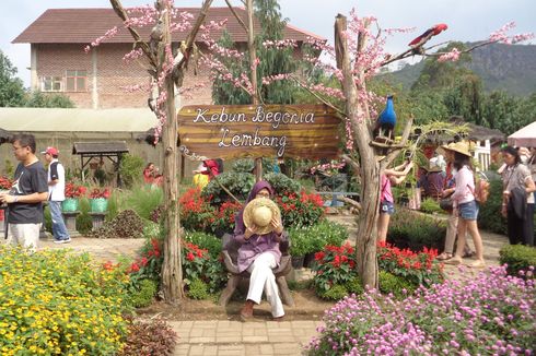 Kebun Begonia Lembang: Daya Tarik, Tiket Masuk, Jam Buka, dan Rute