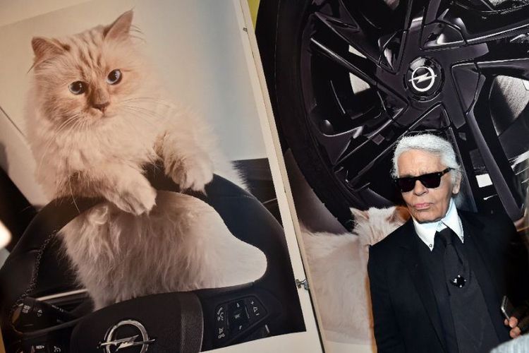 Choupette, kucing milik Karl Lagerfeld muncul dalam iklan mobil. (AFP/JENS KALAENE)