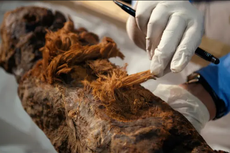 Teknik Mumifikasi Canggih Sudah Ada sejak 4.000 Tahun yang Lalu, Ahli Buktikan