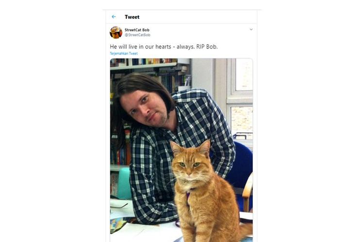 Tangkapan layar twit soal kucing Bob mati