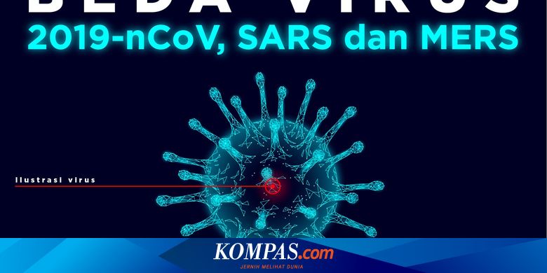 Infografik Perbedaan Virus Corona Wuhan Sars Dan Mers