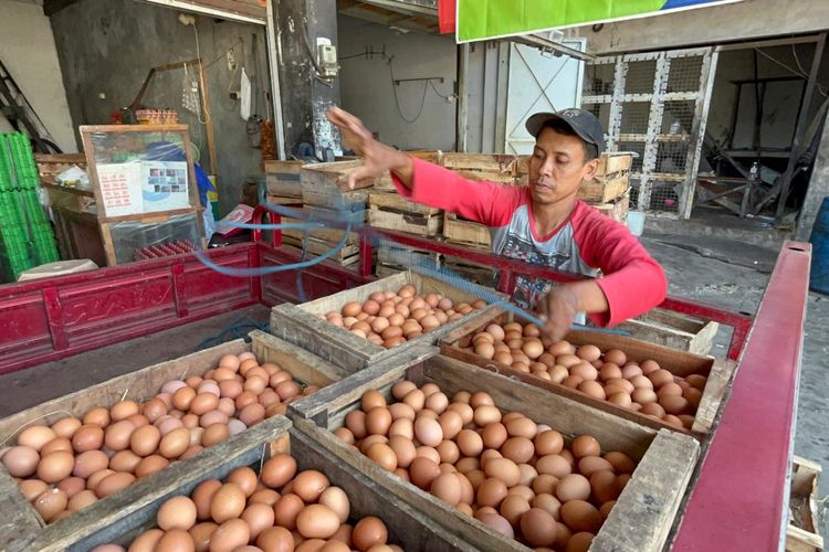 Harga Telur Ayam Anjlok hingga Rp 19.000 Per Kg, Distributor di Solo Putar Otak Siasati Ukuran