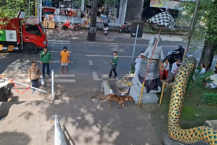 Sudah 18 Korban, Kini Anak 11 Tahun Digigit Anjing Rabies di Buleleng Bali