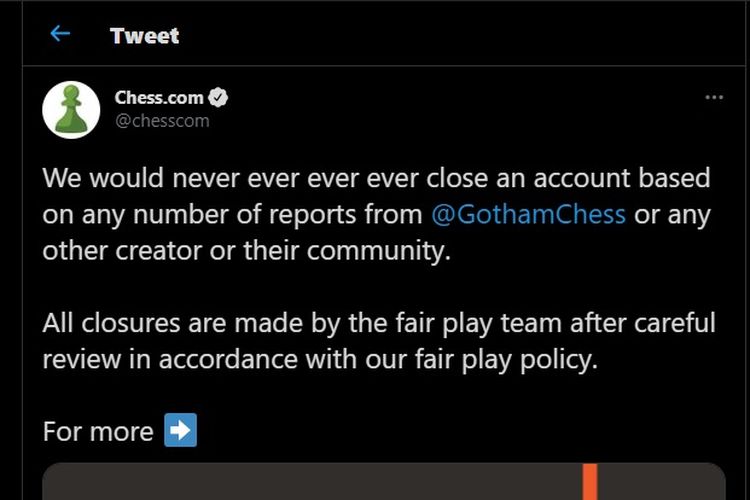 Pihak Chess.com mengatakan tidak akan pernah memblokir akun milik pengguna atas dasar laporan pengguna lain. 