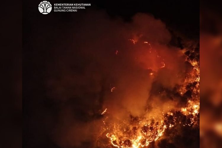 BPBD Jabar Ungkap 1,5 Hektare Lahan Bambu di Gunung Ciremai Terbakar