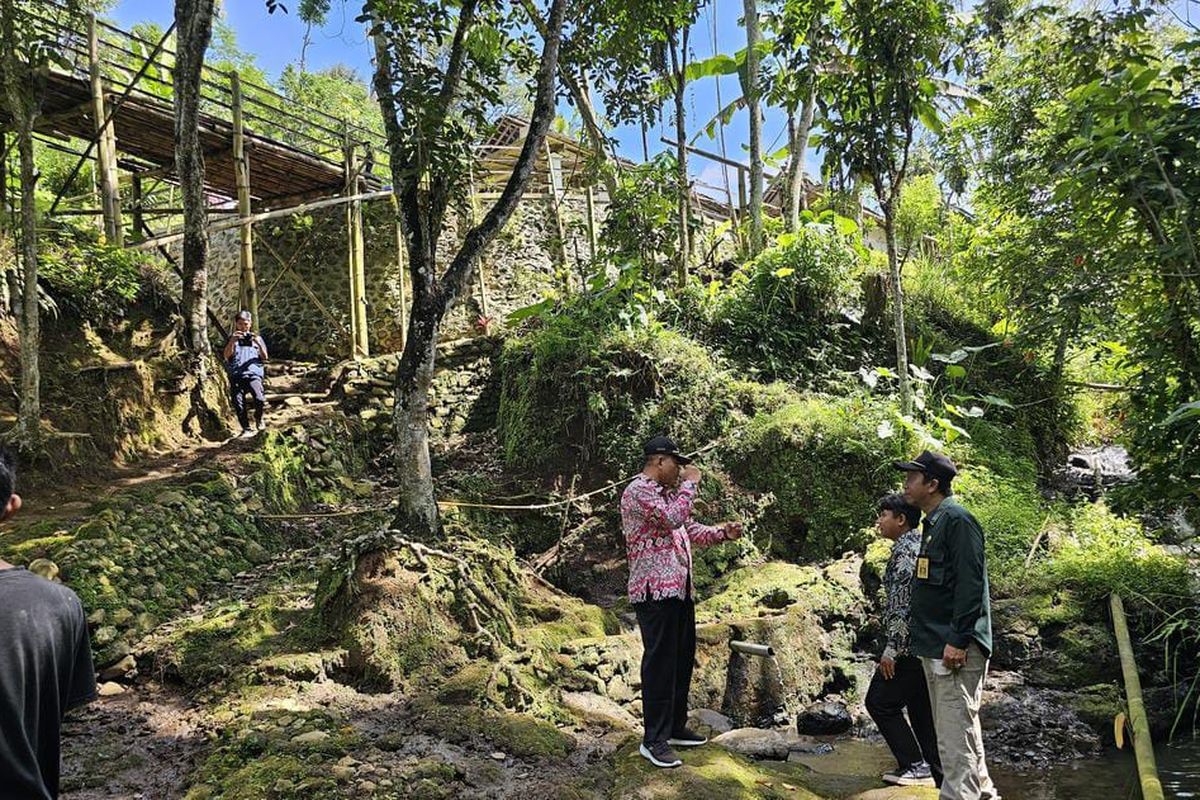 Camat Sukorambi Asrah Joyo Widono saat meninjau lokasi warga yang diserang babi hutan pada Kamis (24/4/2025)