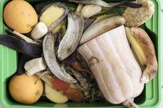 Limbah Makanan Kaki Lima dan Restoran Cemari Lingkungan Jakarta Pusat