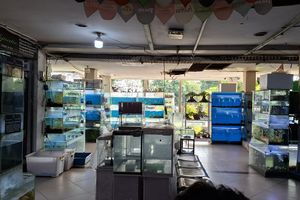 'Dulu Pembeli Ramai Sampai Enggak Bisa Duduk, Sekarang Duduk Terus'