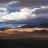 Dataran Tinggi Tibet Ternyata Pernah Punya Hutan Subtropis, Ini Buktinya...