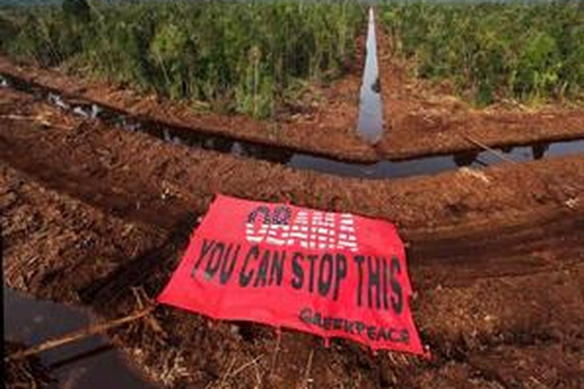 Sekitar 50 aktivis Greenpeace, menggelar aksi dengan membentangkan banner berukuran 20/30 meter di kawasan hutan di Kampar, Riau, Kamis (12/11).
