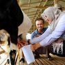 Cerita Sukses Mantan TKI Asal Banyuwangi yang Kini Usaha Susu Kambing Perah