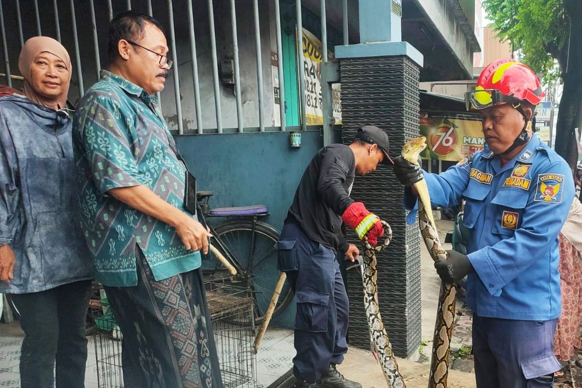 Warga Kediri berfoto dengan ular piton dalam pameran