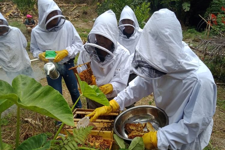 Petani lebah madu mengikuti pelatihan yang diselenggarakan oleh PT Toba Pulp Lestari Tbk