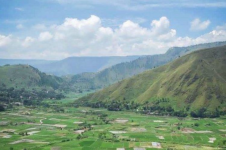 Hamparan sawah di Desa Bonan Dolok, Samosir, Sumatera Utara.