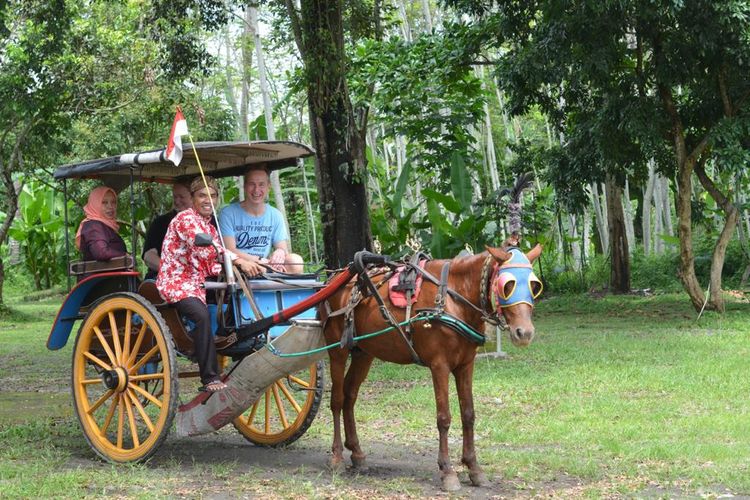 Wisatawan sedang menjelajahi wisata alam di Desa Wisata Candirejo, Magelang menggunakan andong.