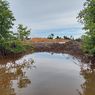 Hutan Mangrove di Wilayah Penyangga IKN Dirusak, DLH Balikpapan Janji Lakukan Sidak ke Lapangan