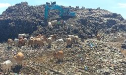 Tempat Pembuangan Sampah Jadi Penyebab Terjadinya Perubahan Iklim