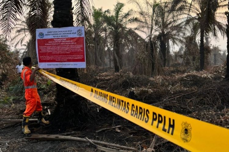 Petugas Kementerian Lingkungan Hidup saat menyegel kebun sawit perusahaan terkait kasus karhutla , di Provinsi Riau, Jumat (25/7/2025).