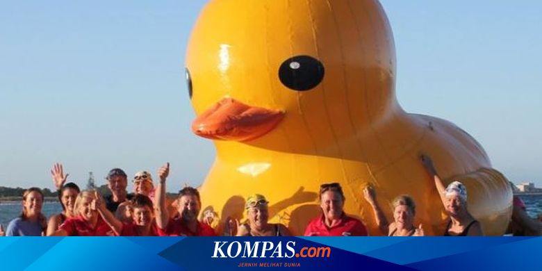 Hilang Tertiup Angin Balon Bebek Raksasa Curi Atensi Warga Australia