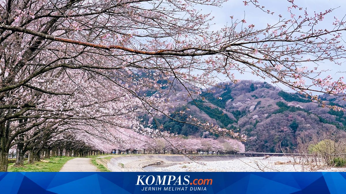 Harga Tiket Pesawat Jepang Melonjak, Minat Turis Indonesia Tak Surut