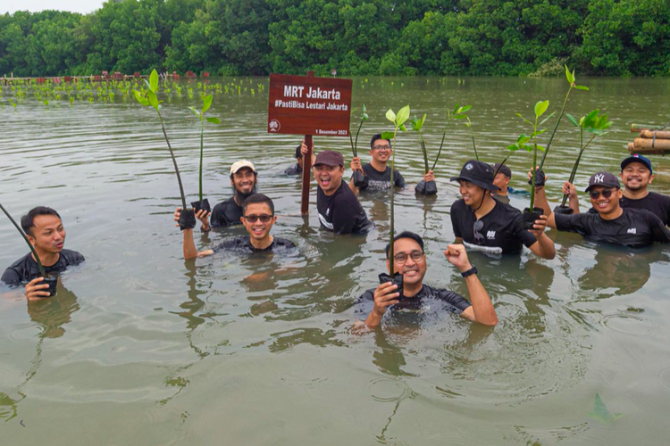 PT MRT Jakarta (Perseroda) mendukung upaya rehabilitasi kawasan pesisir utara Jakarta dengan menanam sekitar 2.000 bibit mangrove jenis bakau (rhizopora sp).
