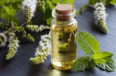 Peppermint Oil Dapat Atasi Sindrom Iritasi Usus, Begini Cara Pakainya