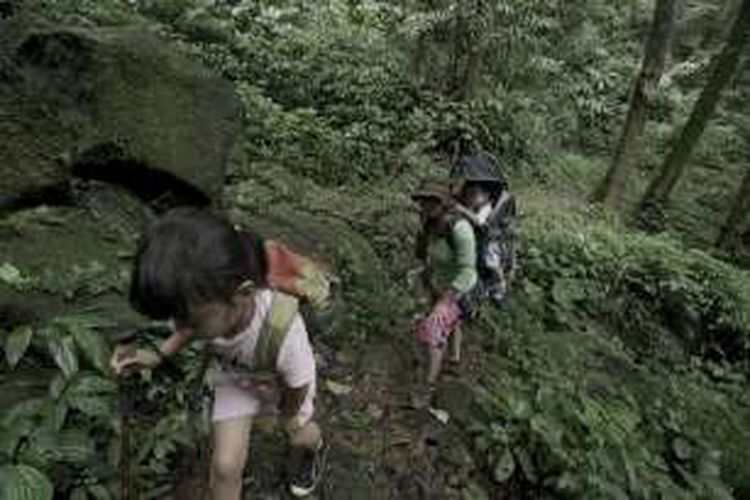 Yayuk bersama dua anaknya Bening (7) dan Angin (1), trekking melintasi hutan tropis kawasan Gunung Kendeng dan Gunung Halimun Selatan dari Kampung Citalahab menuju Stasiun Penelitian Cikaniki, Taman Nasional Gunung Halimun Salak, Bogor, Sabtu (24/12/2016).