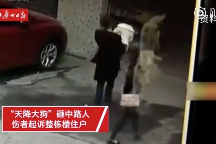 Potongan gambar video memperlihatkan seekor anjing menimpa seorang perempuan pada April lalu di sebuah bangunan di Guangzhou, China.