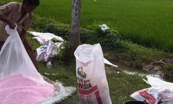 Kementan Terus Tambah Jumlah Alokasi Pupuk Bersubsidi 