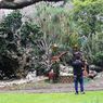 4 Taman Dekat Stasiun Bogor untuk Refreshing, Ada Taman Meksiko