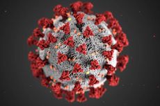 Inggris Setujui Penelitian yang Gunakan Relawan untuk Diinfeksi Virus Corona